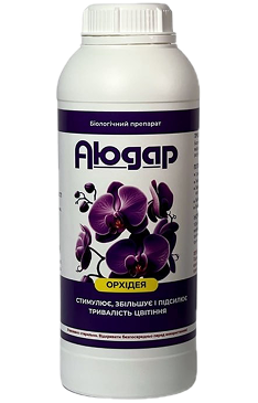 Аюдар Орхідея